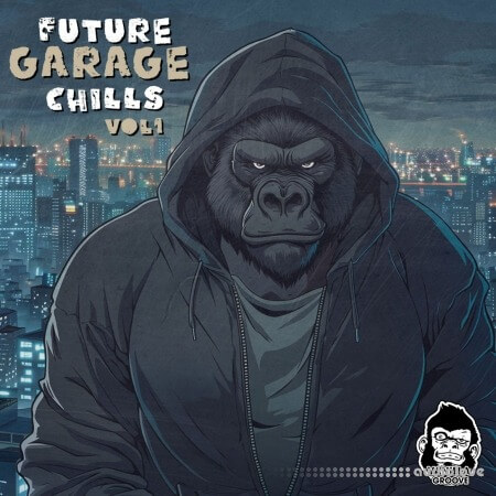 Vanilla Groove Studios Future Garage Chills Vol 1 WAV