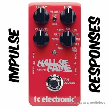 PastToFutureReverbs TC Hall Of Fame Reverb Pedal!