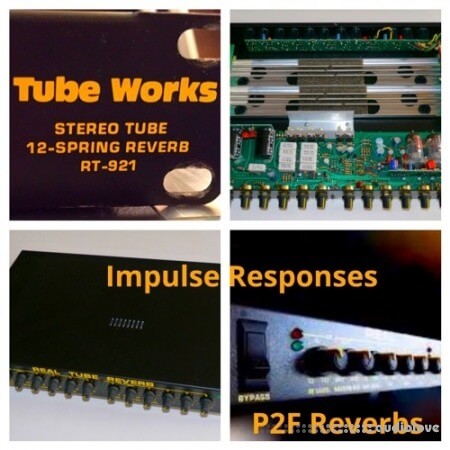 PastToFutureReverbs Tubeworks RT-921 Stereo Tube 12 Spring Reverb!