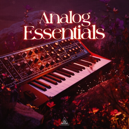 SYNTH PALACE ANALOG ESSENTIALS WAV