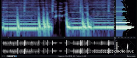 Excite Audio VISION 4X v1.2.2 WiN MacOSX