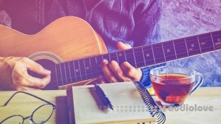 Udemy The Basics Of Pro Songwriting