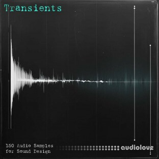 Eric Bowman Transients Sample Pack