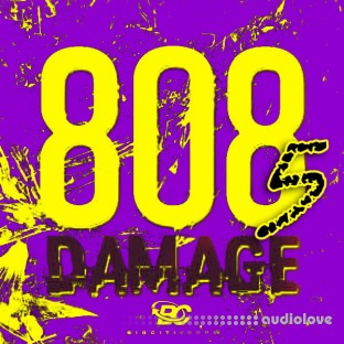 Big Citi Loops 808 Damage 5