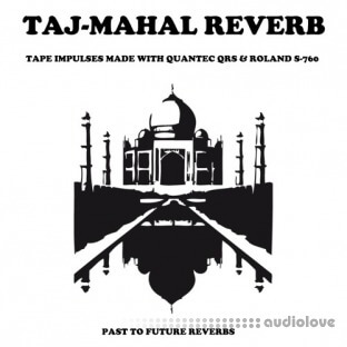 PastToFutureReverbs Taj-Mahal Reverb!