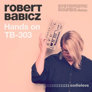 Systematic Sounds Robert Babicz Hands On 303