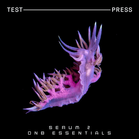 Test Press Serum 2 DnB Essentials Synth Presets