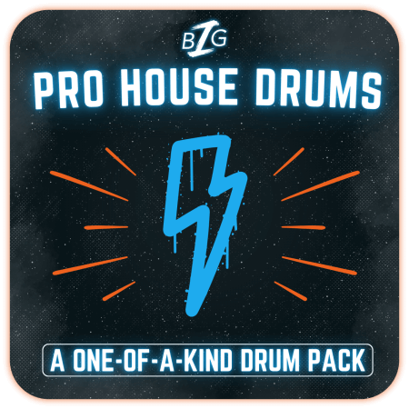 Big Z Sounds Big Z's Pro House Drums