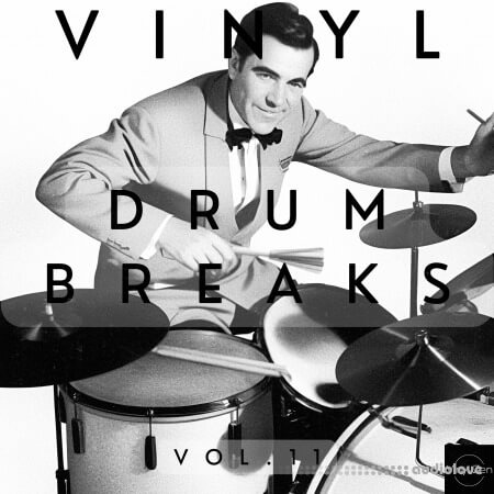 Vinyl Zen Vinyl Drum Breaks Vol.11 (22 Drum Breaks Perfectly Looped)