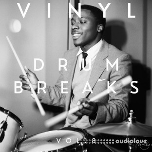 PastToFutureReverbs Vinyl Drum Breaks Vol.8