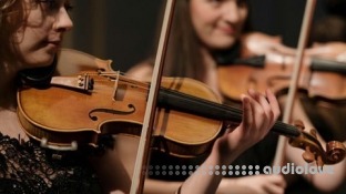 Punkademic Orchestration Masterclass Complete: Writing For Orchestra