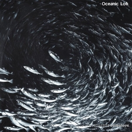 Touch Loops Oceanic LoFi WAV
