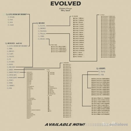 Slipperyhaze EVOLVED Multi-Kit WAV MiDi Synth Presets