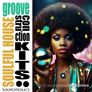 Loopoholics Soulful House Groove: Construction Kits