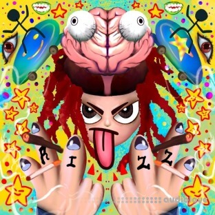 1rott brain$rott The Soundkit