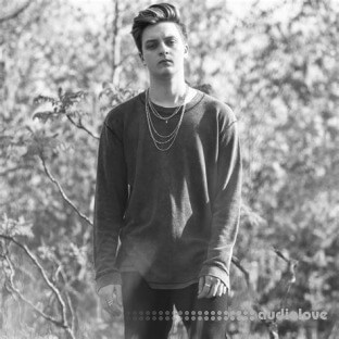 Aaron Shirk Serum 2 Presets Vol.1