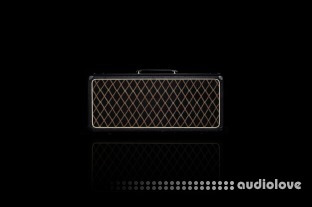 Amalgam Captures VX TB50 1965 ToneX Essential