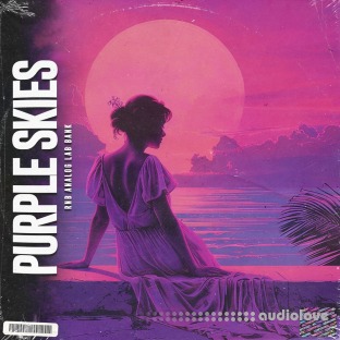 LifeStyleDidIt Purple Skies Rnb (Analog Lab V Bank)