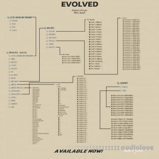 Slipperyhaze EVOLVED Multi-Kit