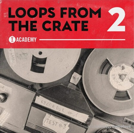 Toolroom Loops From The Crate Vol.2 WAV