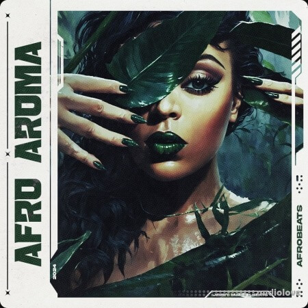 Jerry Martin Beats Afro Aroma WAV MiDi