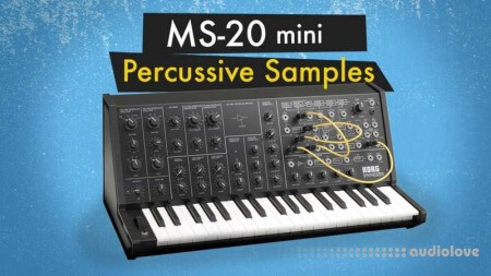 The Sound of Machines MS-20 Mini: Percussive Synth Samples
