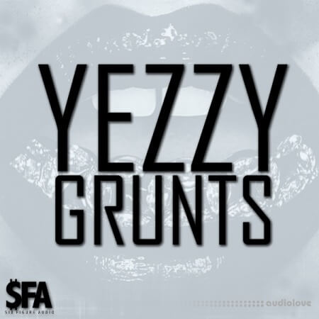 3 Digi Audio Yezzy Grunts WAV MiDi