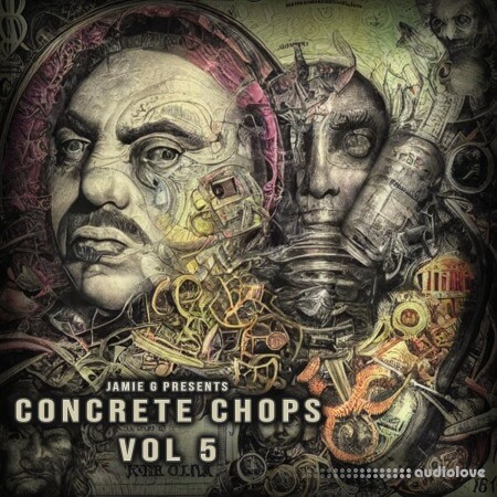 Boom Bap Labs Jamie G Concrete Chops Vol 5 WAV