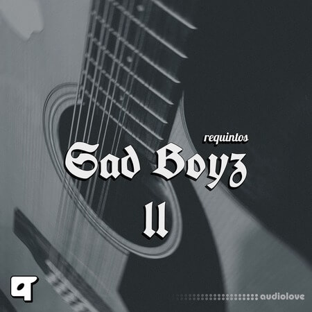 Akyai Requintos Sad Boyz ii WAV