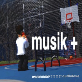Mayze Musik +