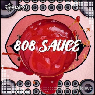 Catalyst Samples 808 Sauce