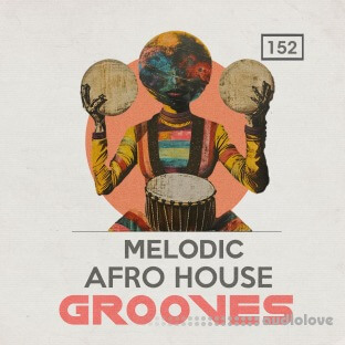 Bingoshakerz Melodic and Afro House Grooves