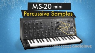 The Sound of Machines MS-20 Mini: Percussive Synth Samples