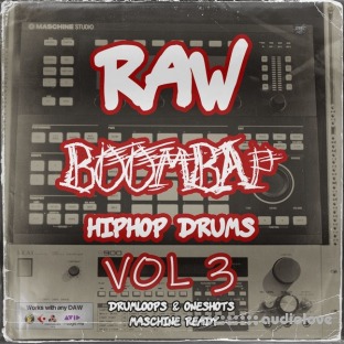 Scarebeatz Raw BoomBap HipHop Drums Vol.3