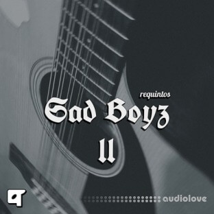 Akyai Requintos Sad Boyz ii