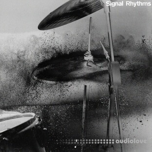 Touch Loops Signal Rhythms