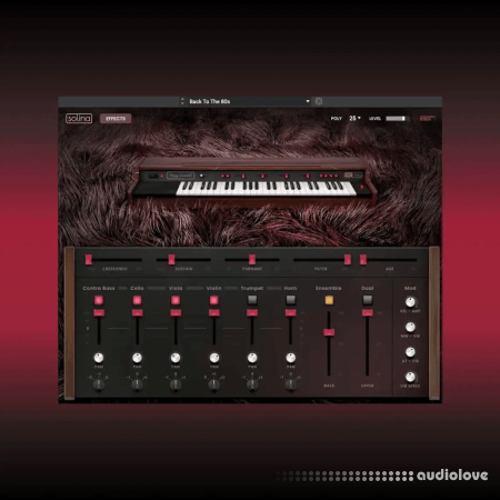 AIR Music Technology Solina v1.2.1.14 WiN