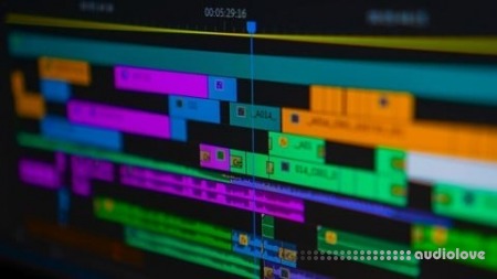Udemy Premiere Pro Essentials: A No-Fluff Beginner Course TUTORiAL