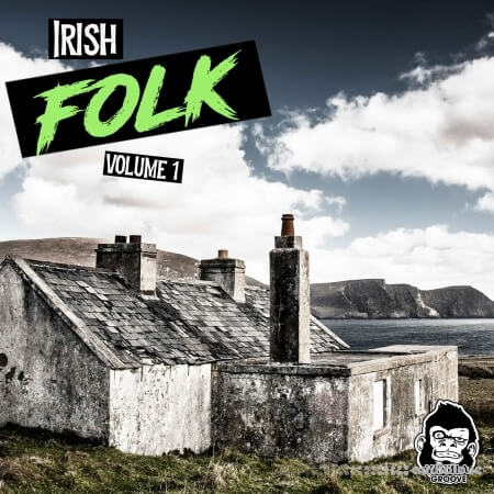 Vanilla Groove Studios Irish Folk Vol 1 WAV