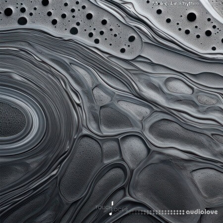 Touch Loops Molecular Rhythms