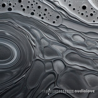 Touch Loops Molecular Rhythms