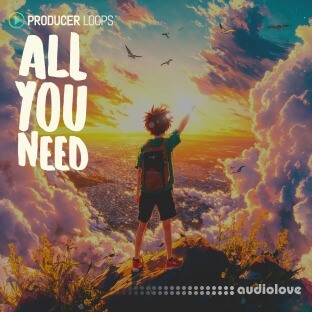 Producer Loops All You Need