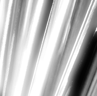 Polyend Halogen