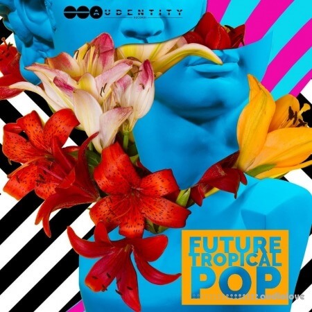 Audentity Records Future Tropical Pop WAV MiDi