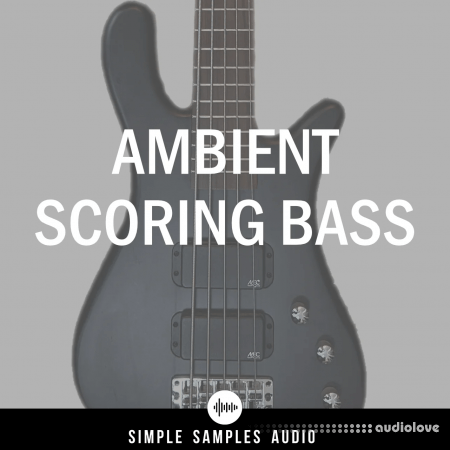 Simple Samples Audio Ambient Scoring Bass v1.1.0 KONTAKT