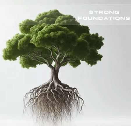 Soundsdivine Strong Foundations Synth Presets