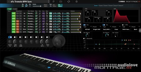 Yamaha Expanded Softsynth Plugin for MONTAGE M v3.0.0 WiN