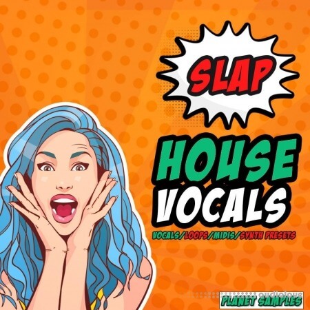 HighLife Samples Slap House Vocals