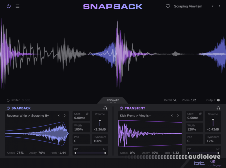CableGuys Snapback v1.1 WiN