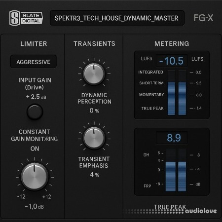 SPEKTR3 Tech House Presets for FG-X2